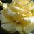 rosaourmilliecflogarnonwilliams1a