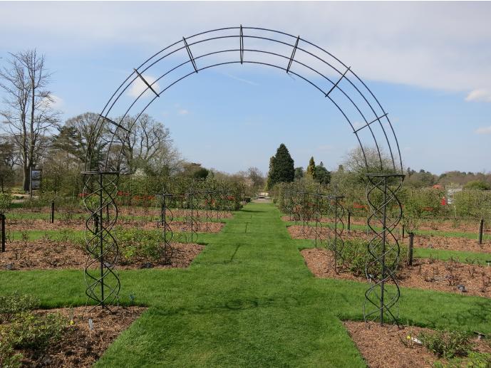 jubileerosegarden4