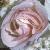 rosaadelaidedorleansflotyoung3a