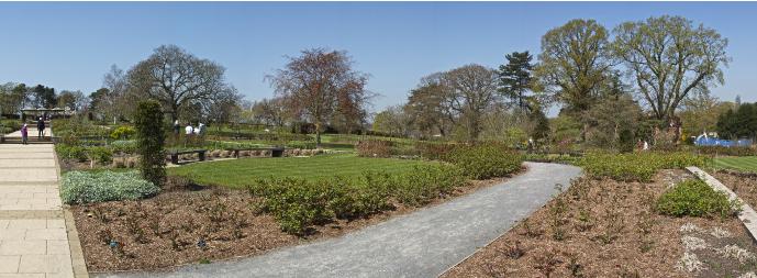 boweslyonview1a