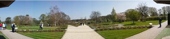 boweslyonview3