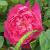 rosabenjaminbrittenflomidcgarnonswilliams1a