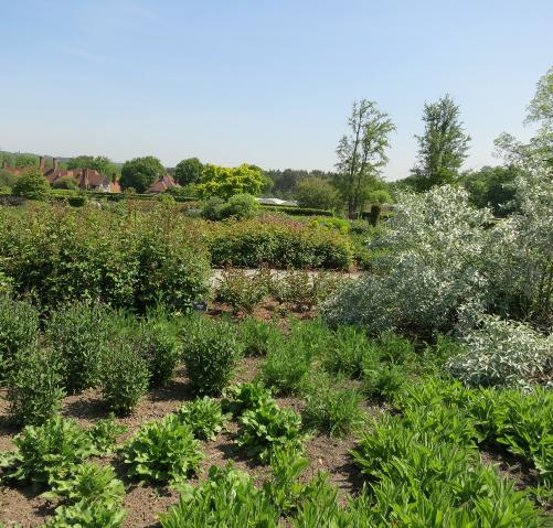 wisleywisley6