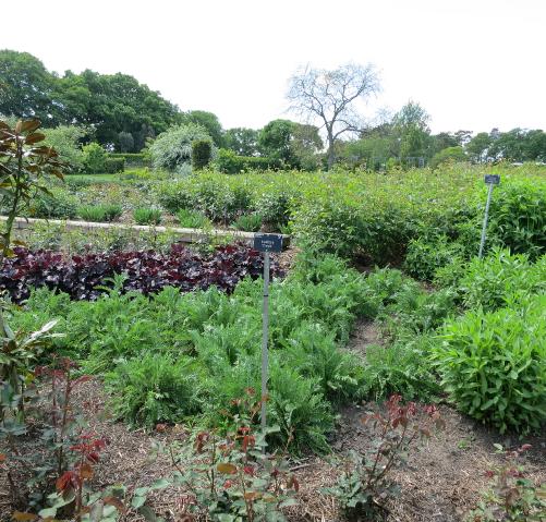 wisleywisley8