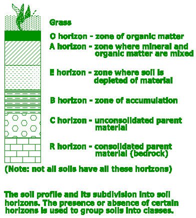 soil-profile-and-its-subdivision-into-soil-horizons-diagram