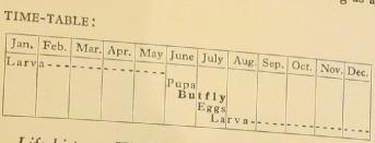 heathfritillarytimetablesandars