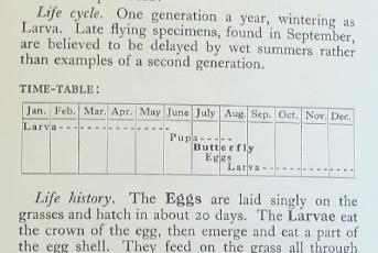 hedgebrowntimetablesandars