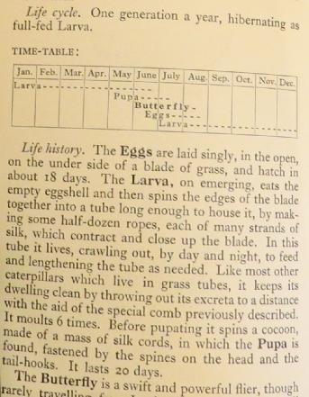 largeskippertimetablesandars