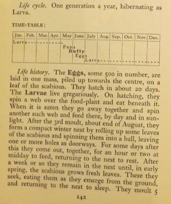 marshfritillarytimetablesandars