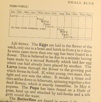 smallbluetimetablesandars