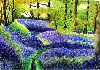 bluebellwoodsbymadeleinepires1