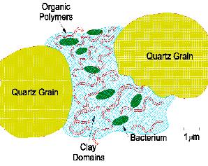 soil15casestudies